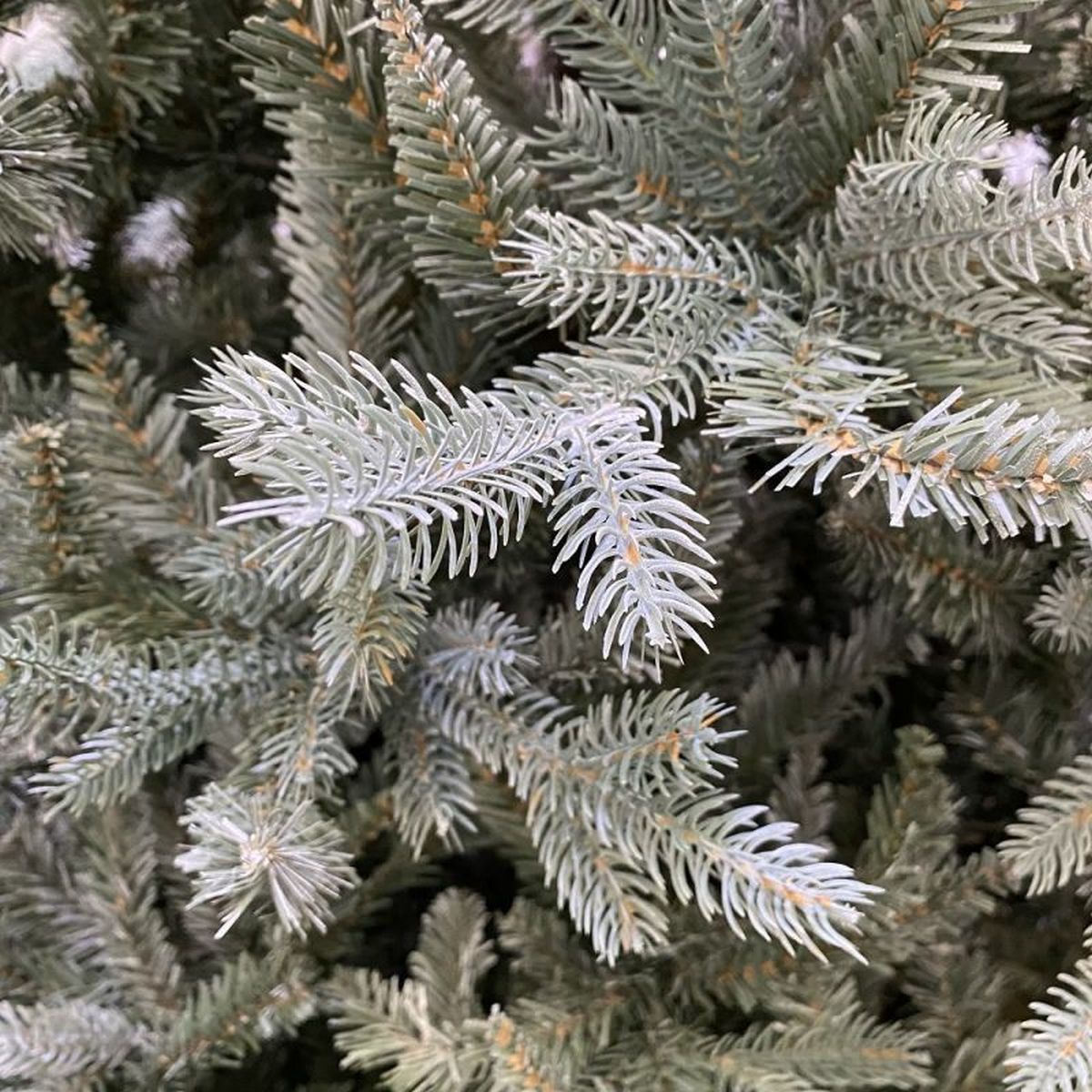 7FT Misty Allison Pine Kaemingk Everlands Christmas Tree | AT38
